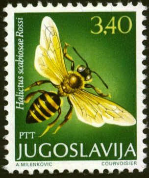 yugoslavia-6[1]