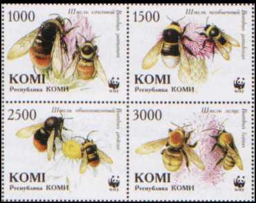 z-komi[1]
