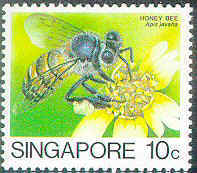 z-singapur1[1]