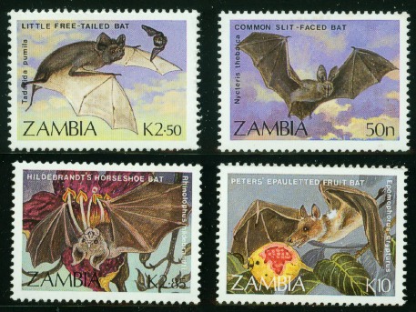 zam0704-set4bats[1]