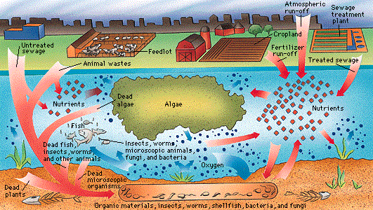 zzzwaterpollution[1]