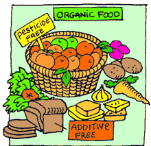 organic_food[1]