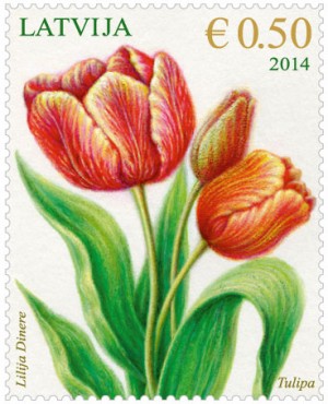 Latvia-Tulip
