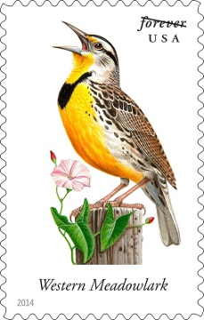 Montana-state-bird-gets-stamp-of-approval