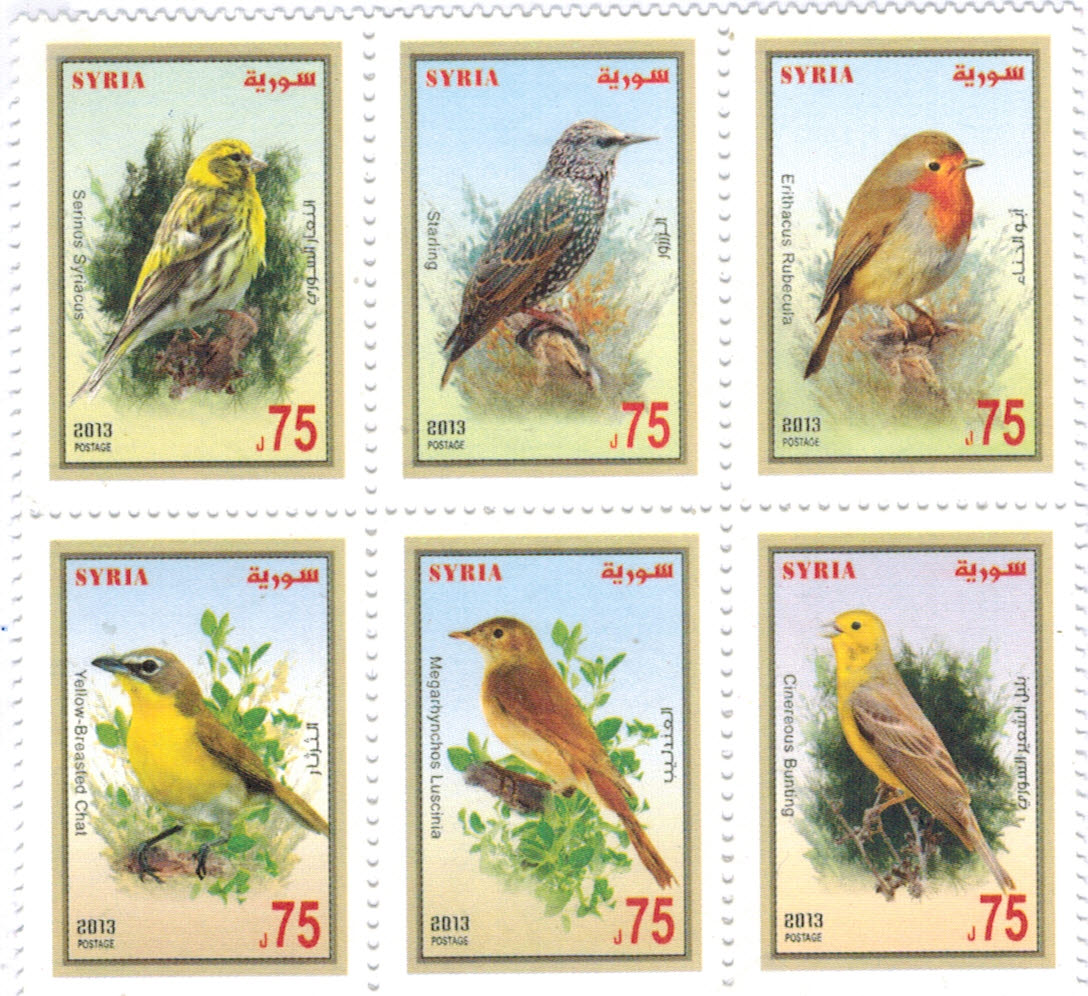 birds
