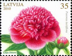 bloem