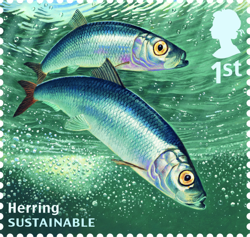 herring-stamp-400-high-res