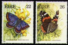 ireland butterflies