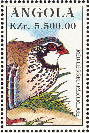 red-legged partridge