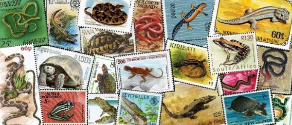 Fauna numbers show steady decline across state forests of the Himalayan region and northeastern India