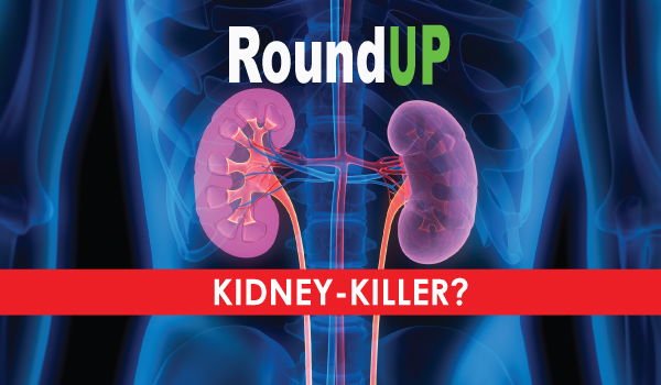 roundup_kidney_killer