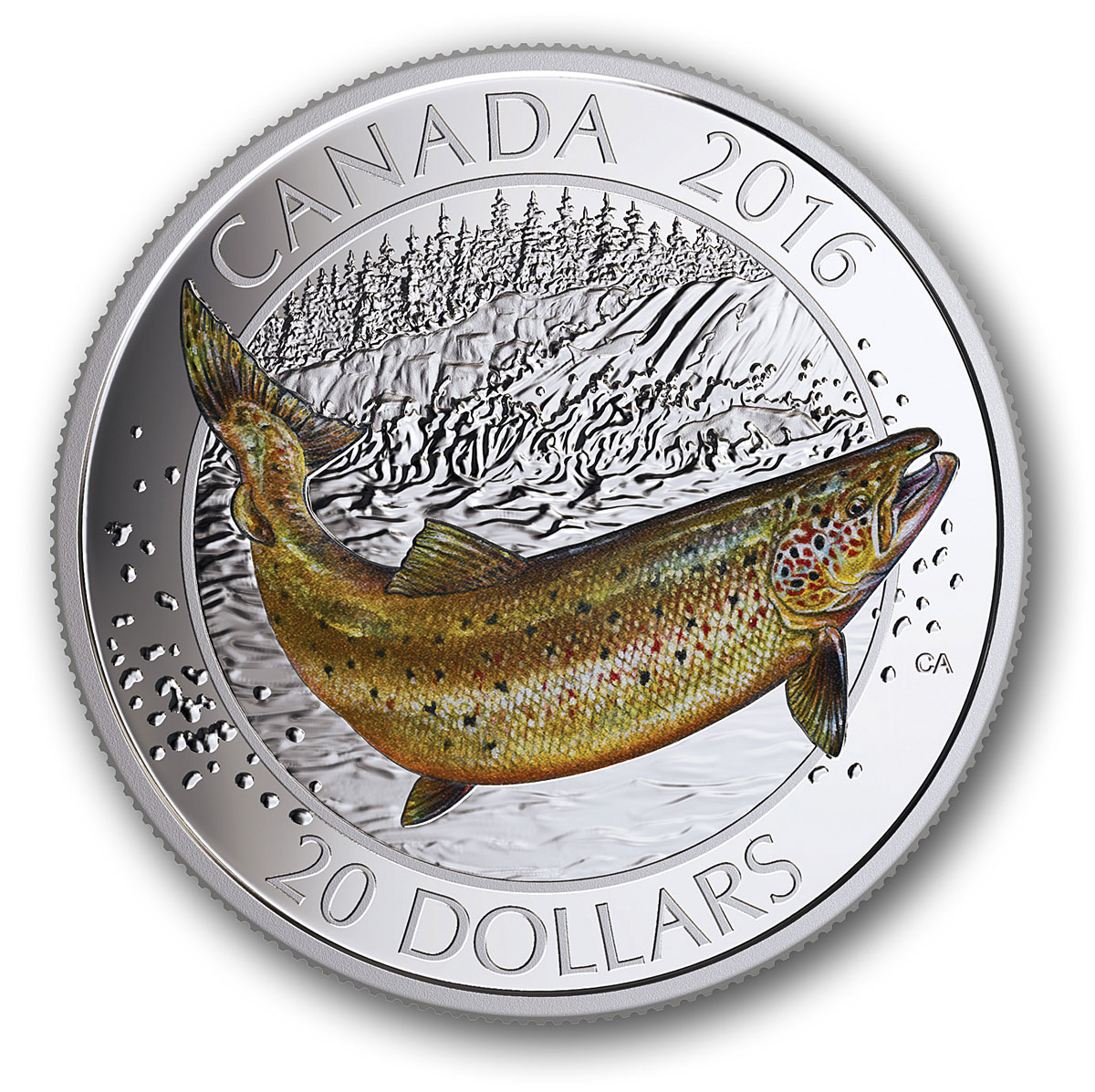 salmon2
