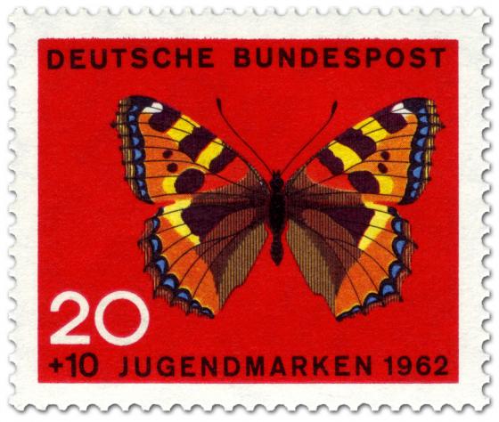 schmetterling-kleiner-fuchs-aglais-urticae[1]