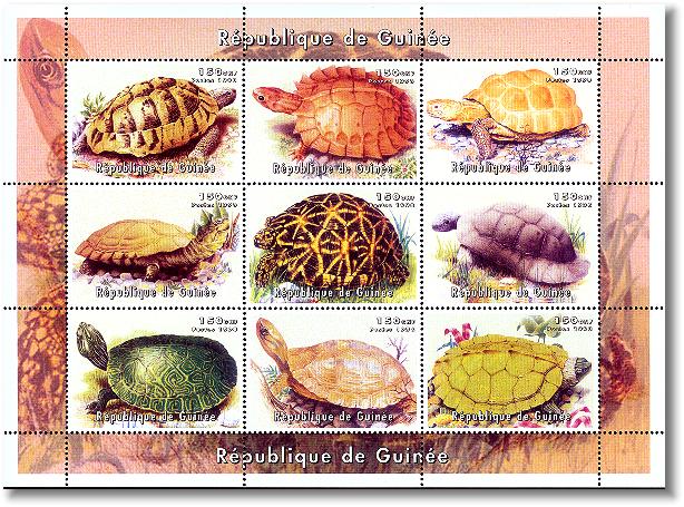 turtles