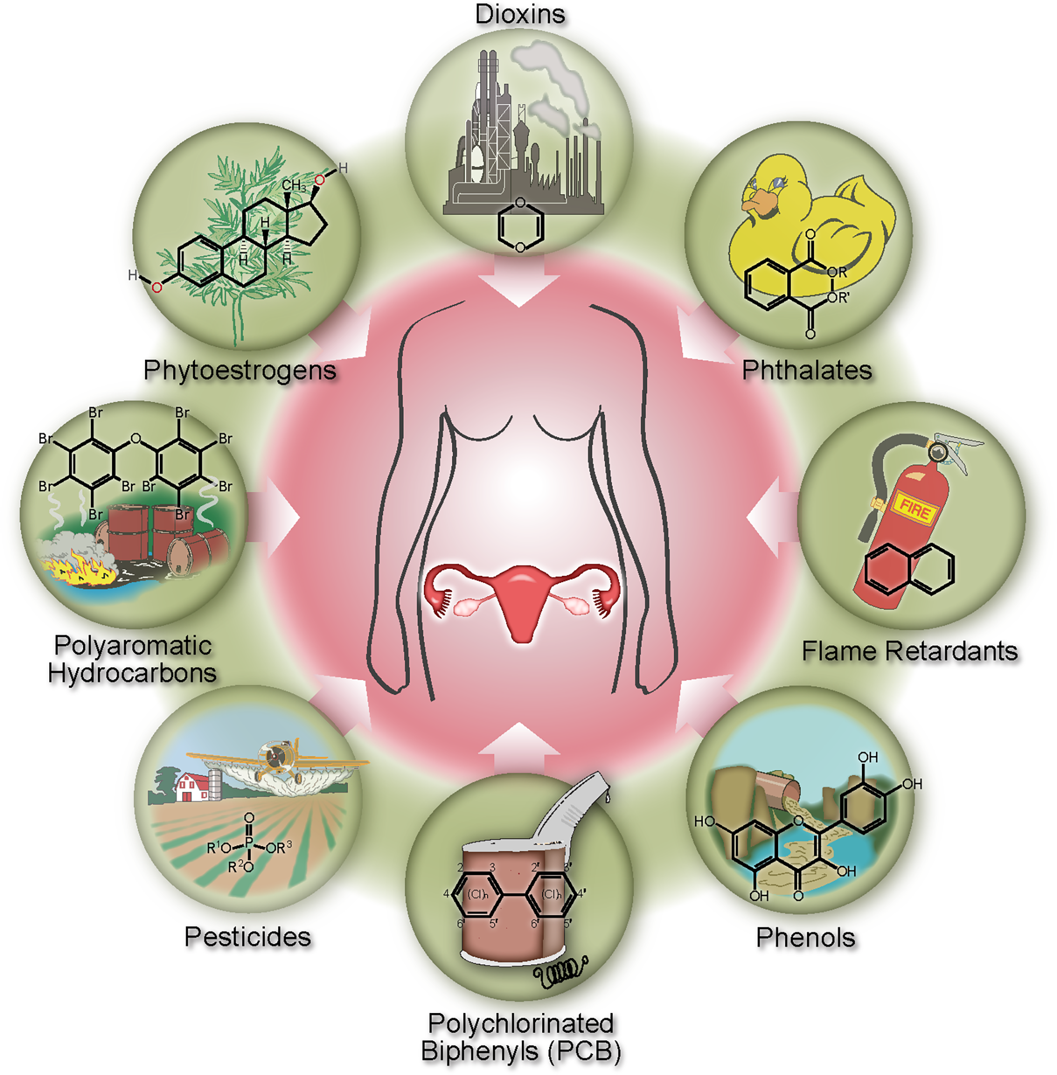 Endocrine Disruptor 2jpg