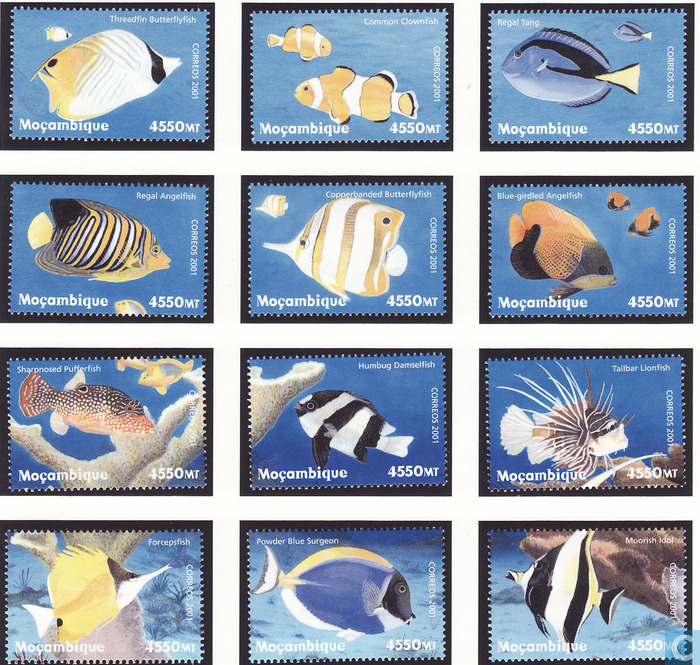Fish1