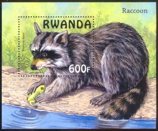 REMA Unveils Shocking List of Threatened Ecosystems, Species in Rwanda