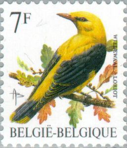 Golden-Oriole-Oriolus-oriolus