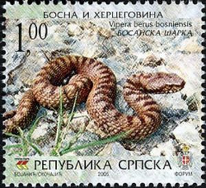adder