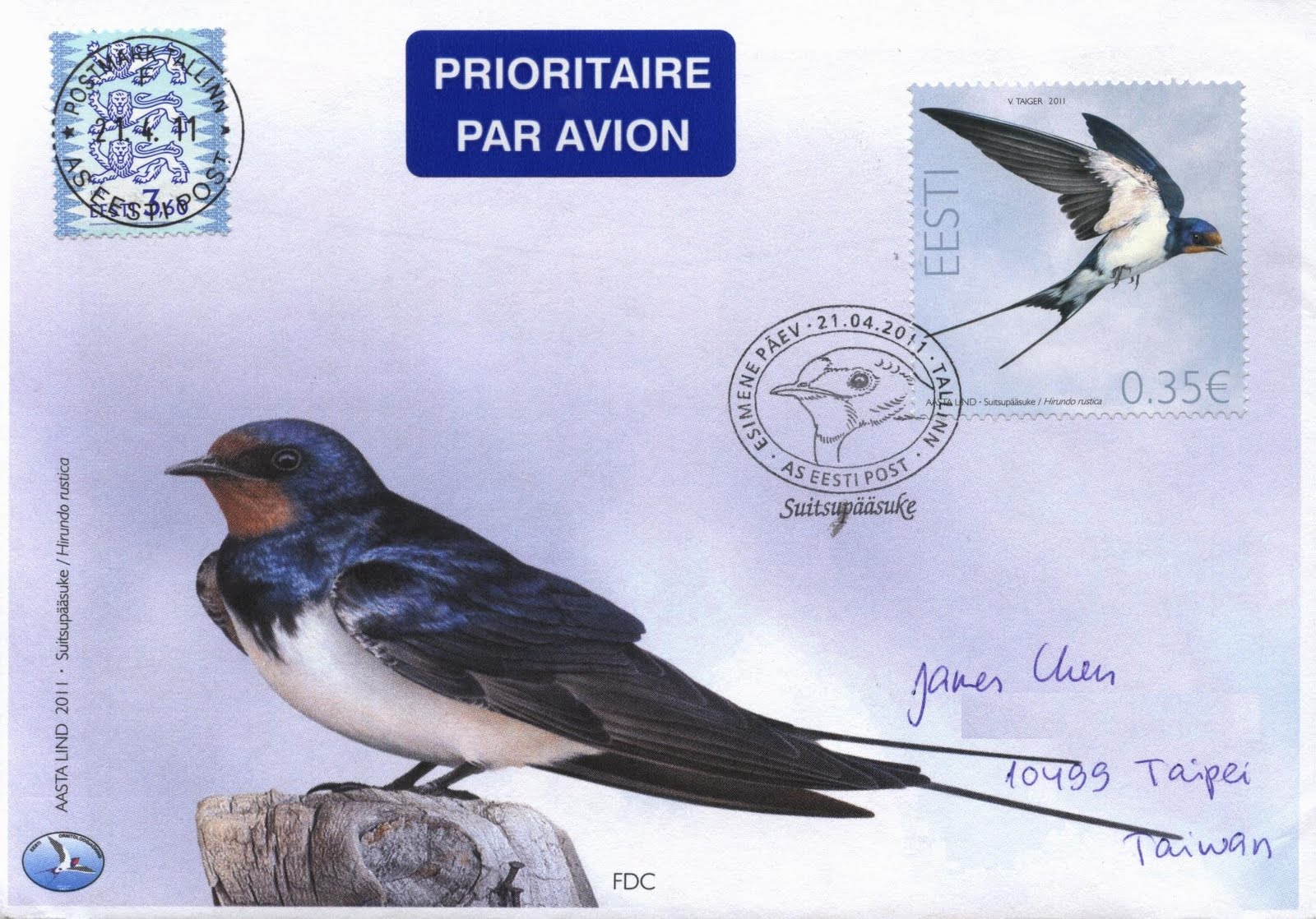 barn swallow 2
