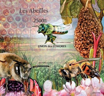 bees7