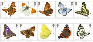 butterflies4