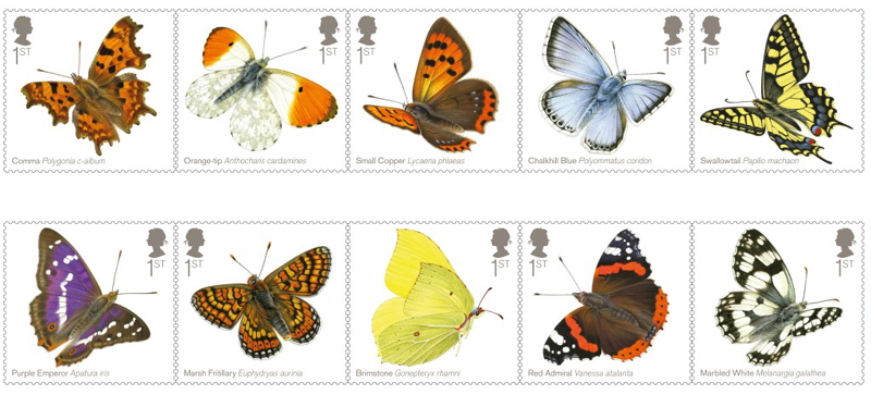 butterflies5