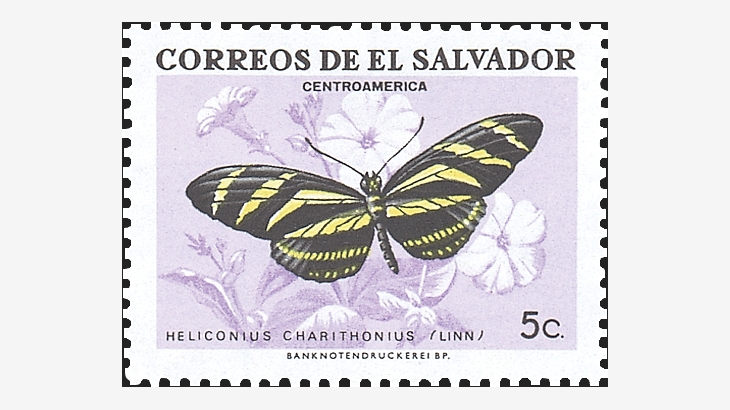 butterfly