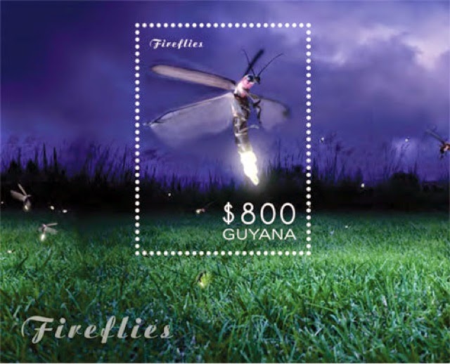 firefly3