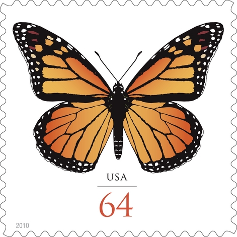 monarch