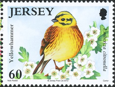 yellowhammer1