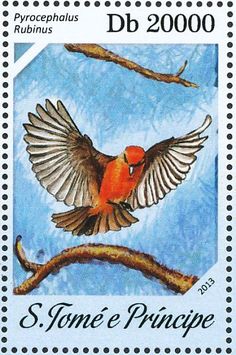 Vermilion Flycatcher