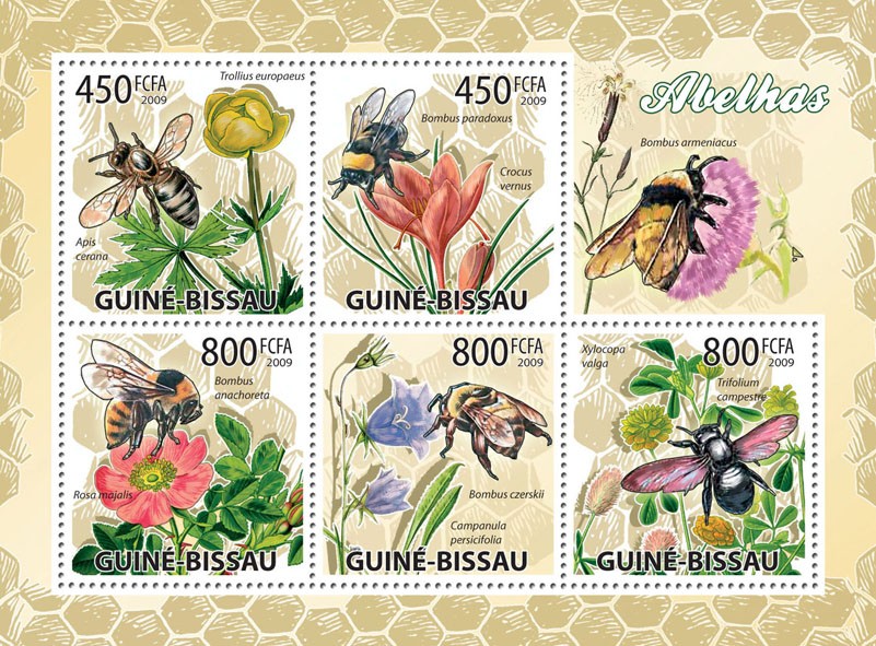 bees8