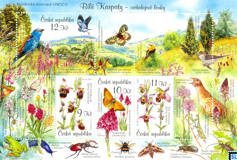 Britain’s wildlife is in dire straits