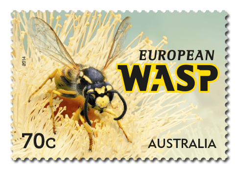 wasp
