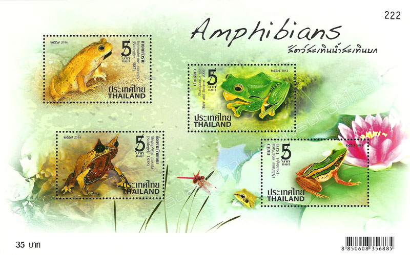 Amphibiensterben: Pestizide im Visier der Forscher