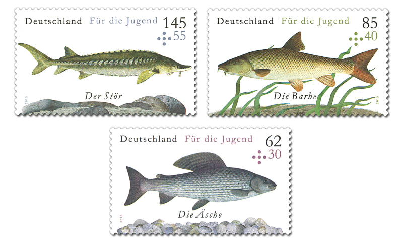 fish9