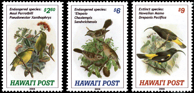 hawaii forest birds