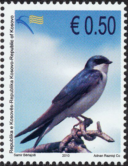 tree swallow