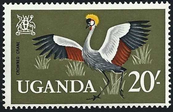 Crested crane 2