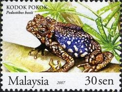 FrogsOfMalaysia_30sen_BrownTreeToad_Stamp[1]