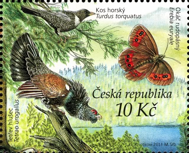 auerhuhn en vlinder