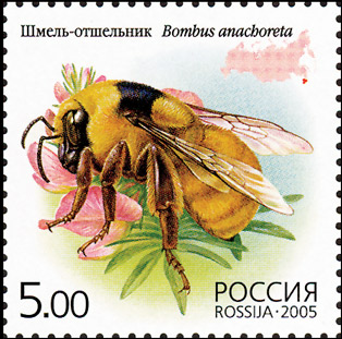 bee7