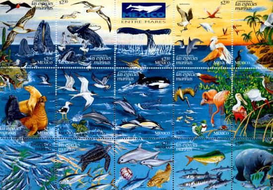biodiversity-marine-detail[1]