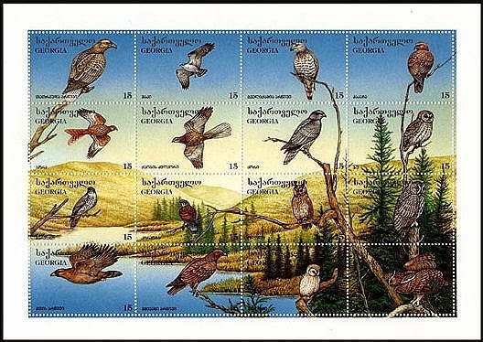birds1