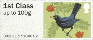 blackbird merel amsel