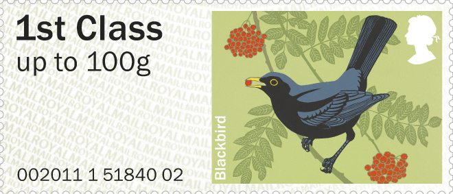 blackbird merel amsel