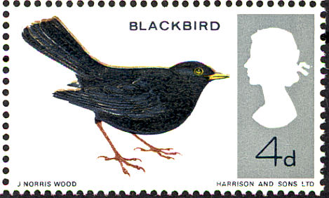 blackbird