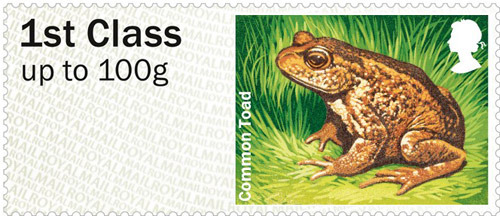 Long-term decline in common toads