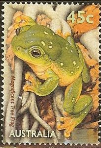 frogs1